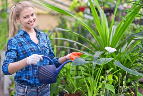 Volunteers working in a community garden in Bayswater with raised beds and tools