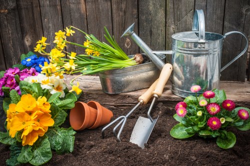 Essential gardening tools arranged neatly