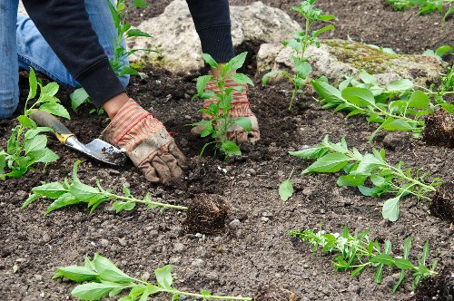 Gardeners wearing PPE during training session