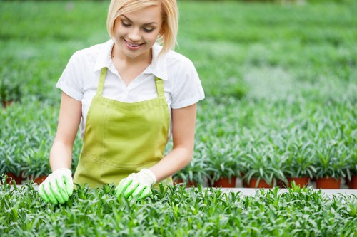 Gardener providing a free quote while inspecting a suburban garden